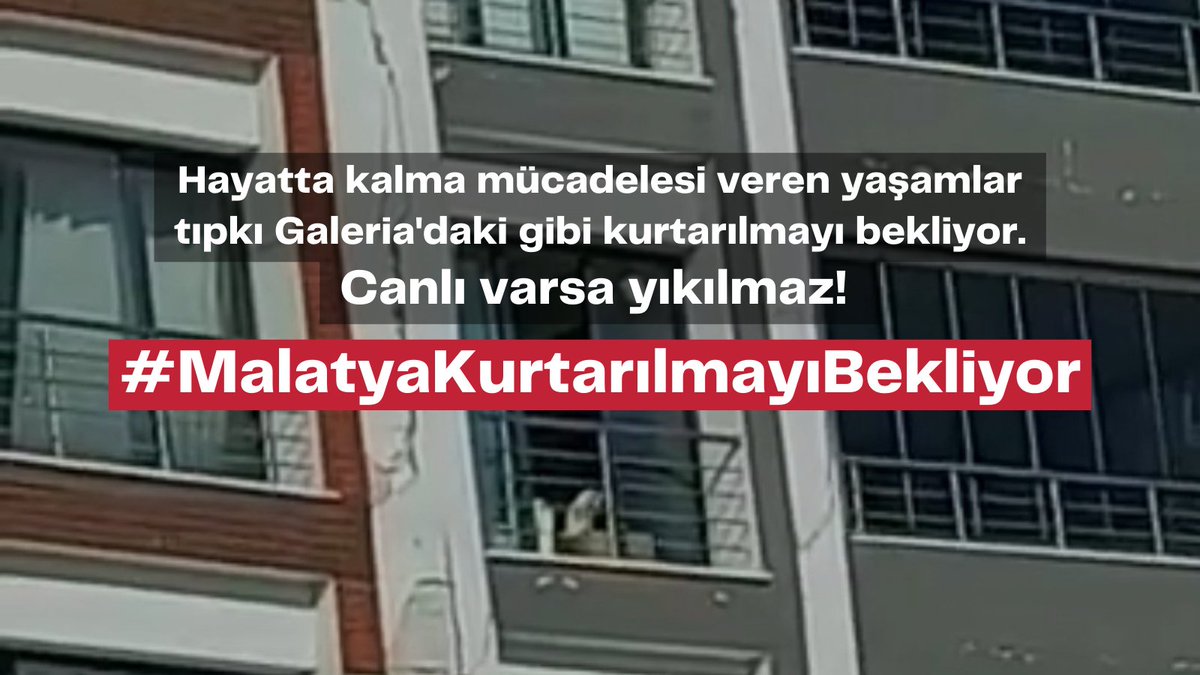 hakim_komite's tweet photo. Hayatta kalma mücadelesi veren yaşamlar tıpkı Galeria'daki gibi kurtarılmayı bekliyor. Canlı varsa yıkılmaz! #malatyakurtarılmayıbekliyor https://t.co/bSrRXh29fQ