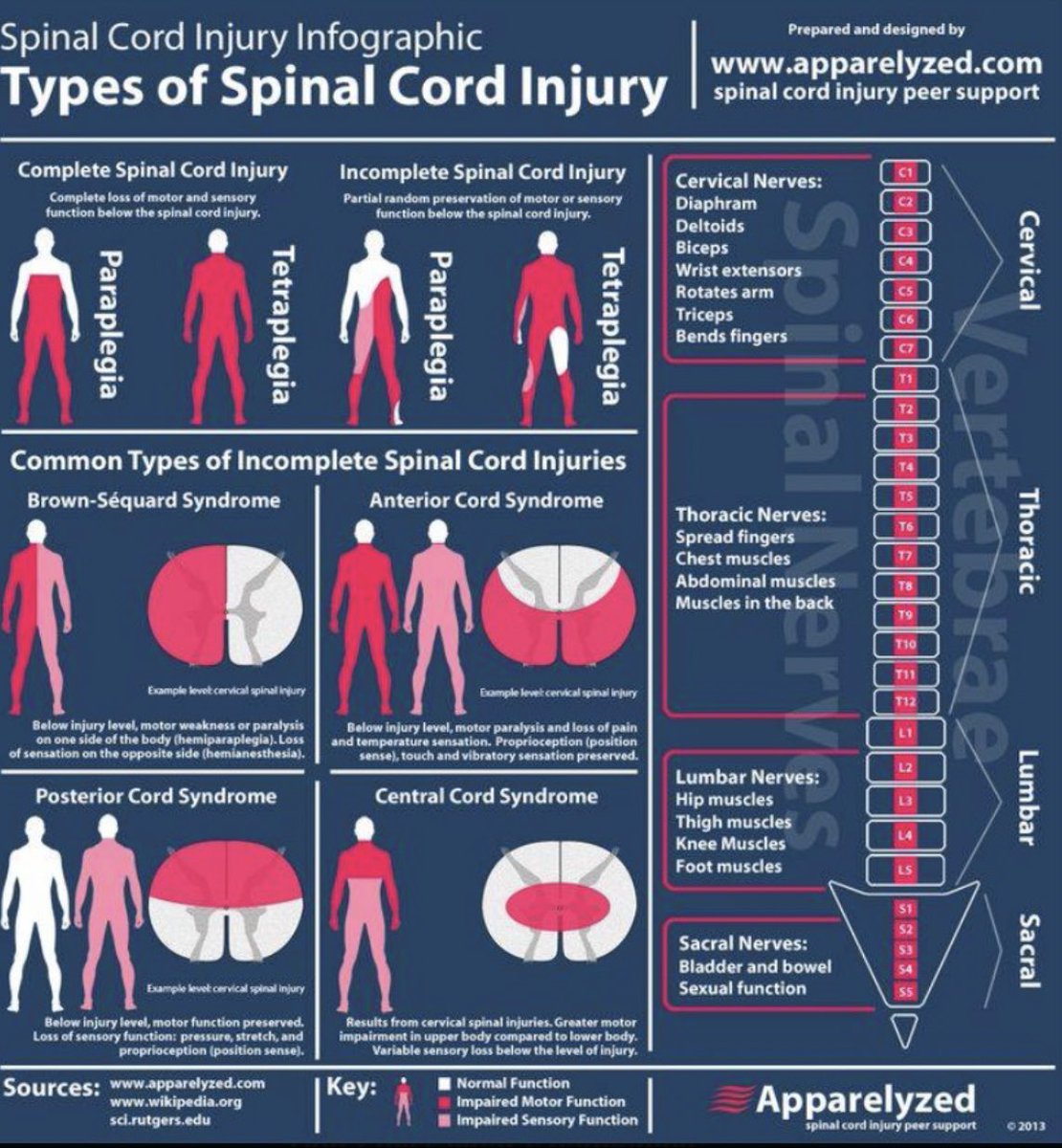 Spinal cord injury infographic