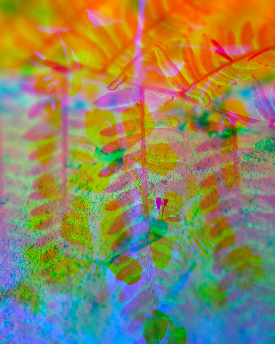 Christian_Jago's tweet photo. 3. I’ve been working on a new long-term project since the beginning of 2022. It’s been an incredibly joyful and fulfilling experience so far. I’m experimenting with lots of new processes. I’m hoping to release the first iteration of the project sometime this year! https://t.co/yi6Evc63JU