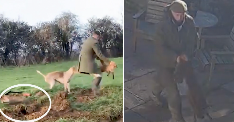 In just this month we've seen foxes being literally thrown to hounds and a fox cornered and mauled to death in a private garden.

This isn't the country we want to live in, where animals are terrorised for 'fun'.

RT this and follow <a href="/ProtectTheWild_/">Protect the Wild</a> to end this madness for good.