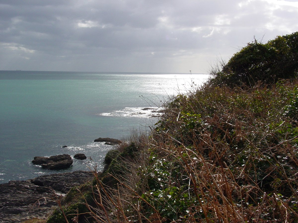 blackgull's tweet photo. conserving bars of silver in coastal waters: a 2 day interactive conference sharing migratory fish conservation research on #salmon and #seatrout from the five year #SAMARCH project
tickets>https://t.co/JiofgIB4OC (14/15 March, Southampton) https://t.co/SeKxwk2fXK