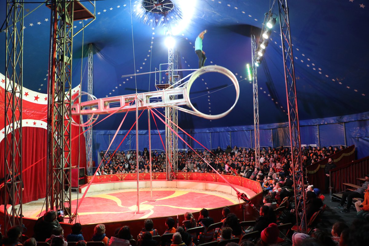 Nogent94130's tweet photo. Au total, 457 enfants des clubs de loisirs nogentais étaient inscrits au #spectacle offert du Cirque Zavatta temporairement installé au  @pavillonbaltard
Le cirque Achille Zavatta vous attend au Pavillon Baltard, jusqu’au 5 mars.
📅 Billetterie sur place à partir de 15h.
#cirque https://t.co/qJkvTV2aWS