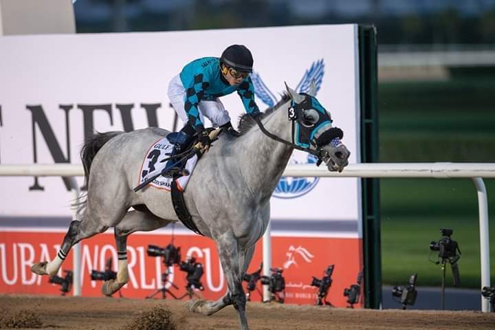 HORSERACING1002's tweet photo. X Y JET (USA ) 2012
(KANTHAROS - SOLDIERSINGBLUES BY LOST SOLDIER)#XYJet https://t.co/W1ByGHlizQ