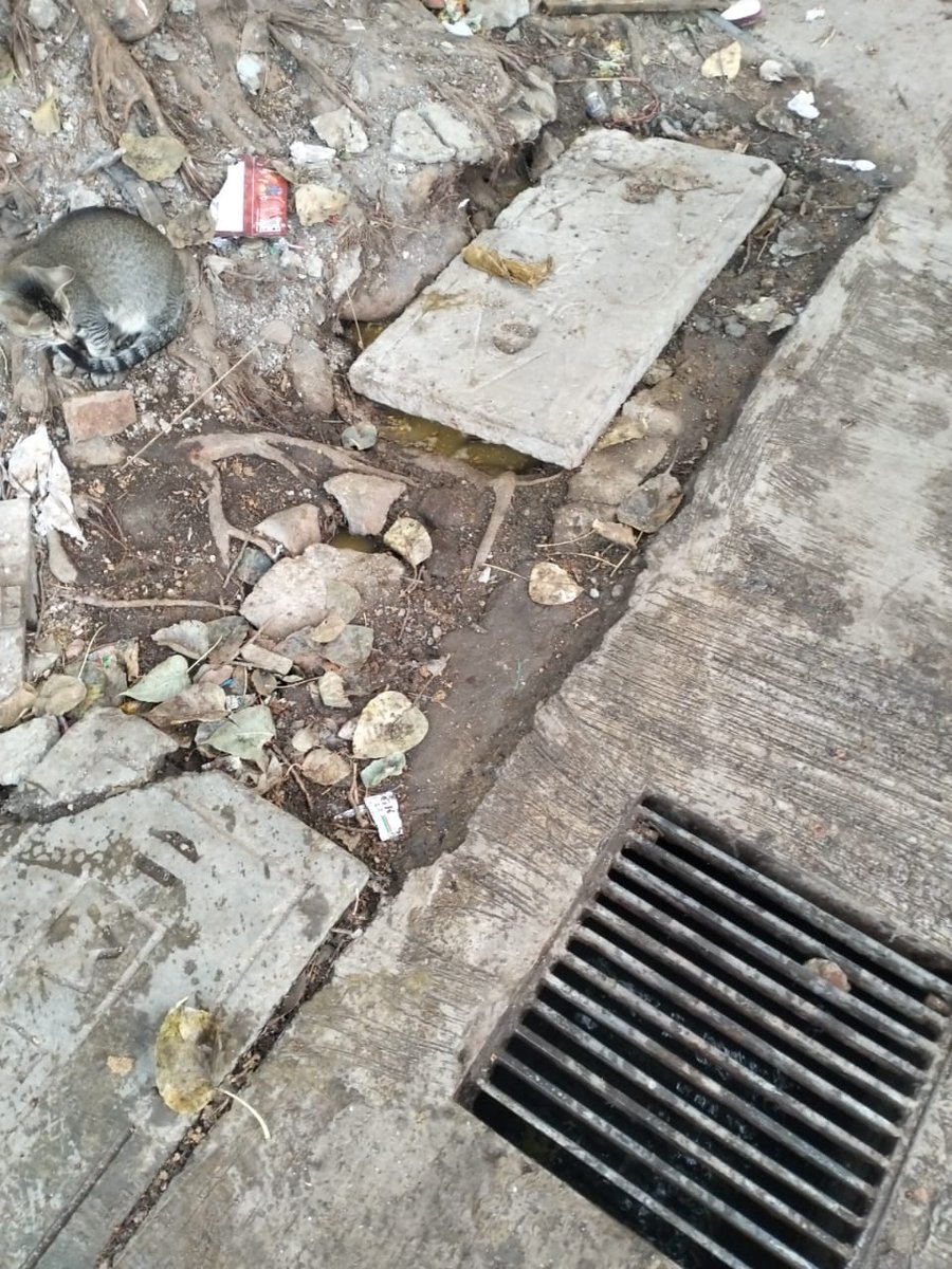 sspatilspeaks's tweet photo. Sewerage line of temporary toilet seen choked & overflowing in locality of Azad Nagar, Aziz baug, vashinaka.I request @mybmc @mybmcWardME @mybmcSWM to kindly intervene & resolve this issue ASAP.
@nawabmalikncp sir
@sanamalikshaikh mam
#NationalistNawabMalik
#Ward147
#AzadNagar https://t.co/jDdR2cr3U4