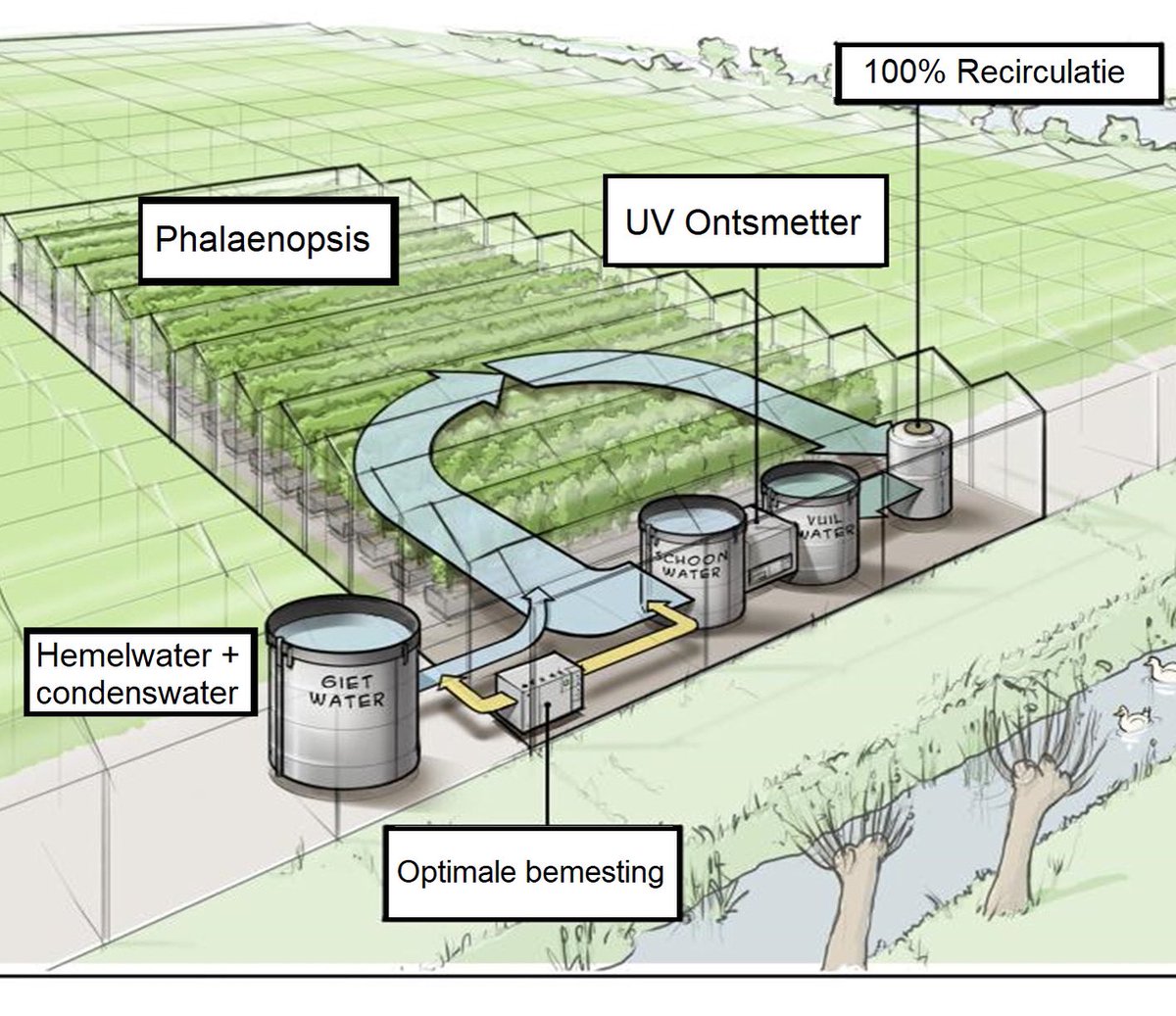 De weg naar Circulaire Kas | 100% Water Recirculatie💧Sinds 9 maanden zijn wij volledig water en meststof circulair. Wij lozen geen afval water en meststoffen meer. Benieuwd hoe we dit doen? ➡ lnkd.in/eUg2wMMc #circulairondernemen #waterrecirculatie #circulaireeconomie