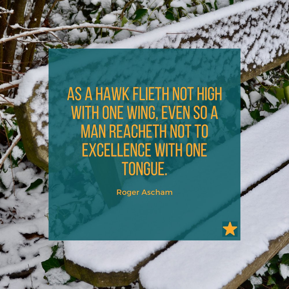 vaultrice's tweet photo. "As a hawk flieth not high with one wing, even so a man reacheth not to excellence with one tongue."
Roger Ascham
#localistars #translator #translation #l10n #t9n #xl8 #m17n #translationjob #freelancetranslator #translationagency #quoteoftheday #rogerascham https://t.co/tL4rKjcQ27