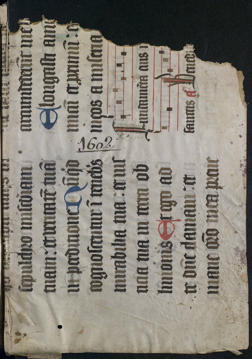ahpsevilla's tweet photo. Guarda interna (recto y verso), individualizando el año 1602 del #índice del #protocolonotarial del #escribanopúblico Juan Herrera del Pozo, oficio 7 de Sevilla, libro 1º. Años 1600-1612. Sig. 18401P
📜 Recto (lado frontal de la hoja de #pergamino): https://t.co/UygOJSPtPG
