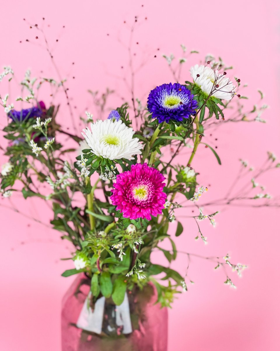 Marginpar's tweet photo. 🤩 NEW! We are proud to introduce a new series to our range: Callistephus Buttons. The blue, white and pink flowers thrive in our Kenyan flower fields, producing stems of up to 80 centimeters. The flower size can reach up to 6 cm in diameter.
#floralnews #marginpar https://t.co/N48NnjjsoC