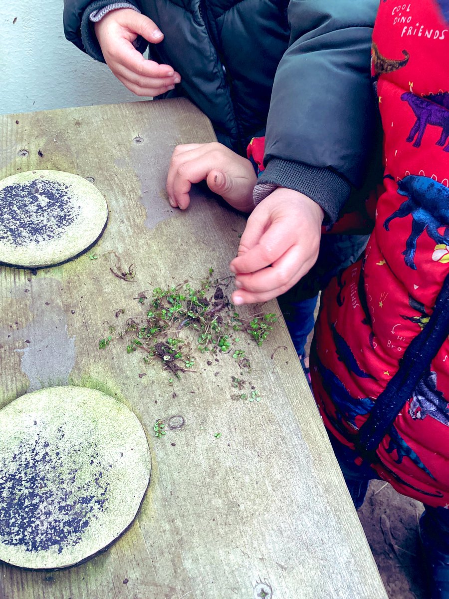Clytha preschool have had a fun and exciting morning further developing their fascination of worms! Lots of measuring and comparing was observed and someone even decided to make a duvet to make sure the ‘tiny baby’ keeps warm! 🪱🪱@EAS_EarlyYears @BrimbleGaynor