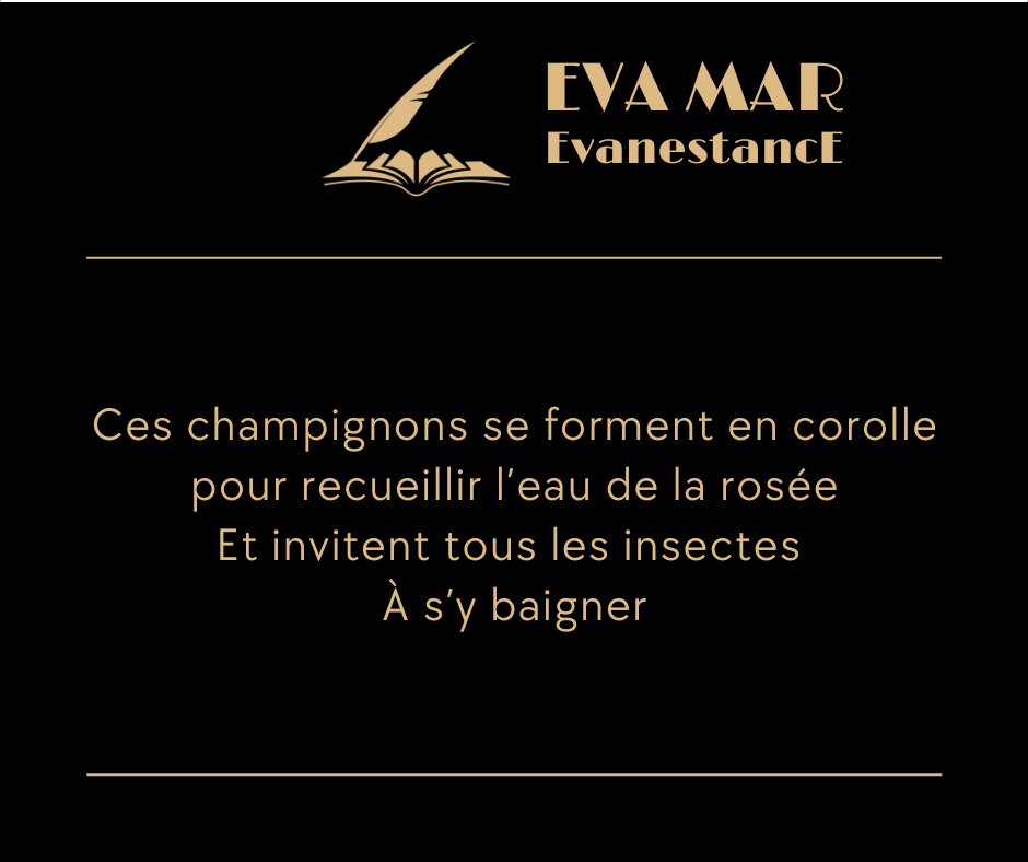 #poésie #poetry #poems #Poet
#writing #writer #haikus #nouvelles 
#WritingCommunity #PoetryCommunity
#micropoetry #poetweet #webpoesie #littérature
#inspoète #poète #instapoet #poetress #instapoésie