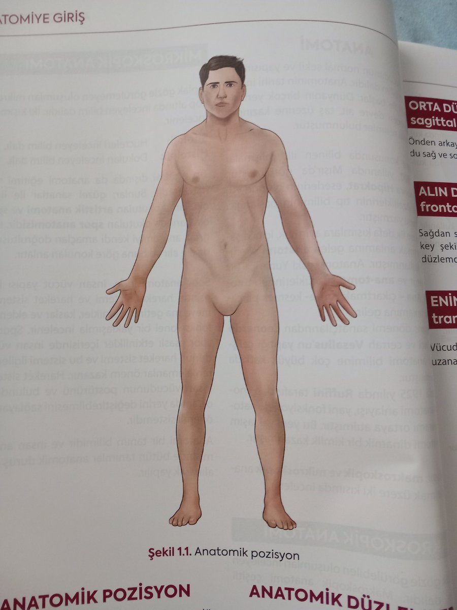 nordiksomon's tweet photo. Anatomi kitabında penis sansürlenmiş, kadına da mayo giydirmişler. Türklerin anatomi kitabı yapmayı acilen bırakması lazım https://t.co/fcTjwB68ra