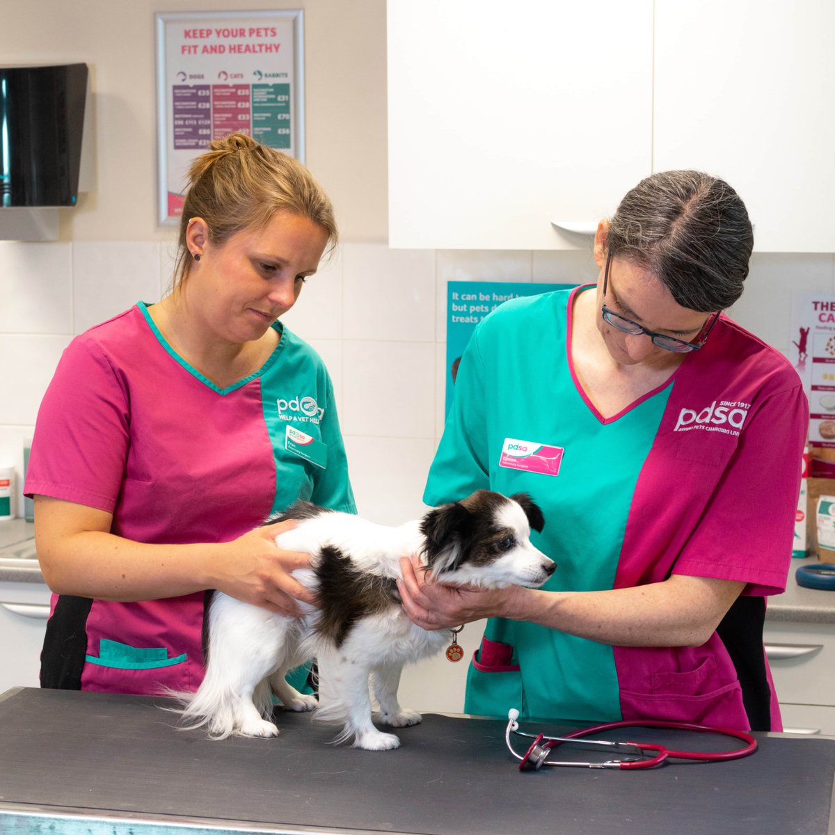 PDSA on Twitter "Our veterinary teams deal with hundreds of emergency