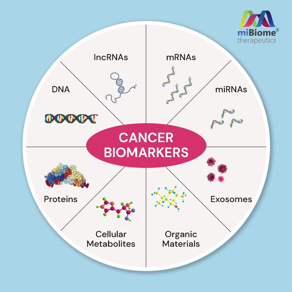 MibiomeT's tweet image. Biomarker tests known as liquid biopsies look in blood or other fluids for biomarkers from cancer cells. 

#biomarkers #biomarkertest #biomarkertesting #cancerbiomarkers #cancerawareness #cancergenetics #GenomicsForAll #MiBiome #MibiomeTherapeutics