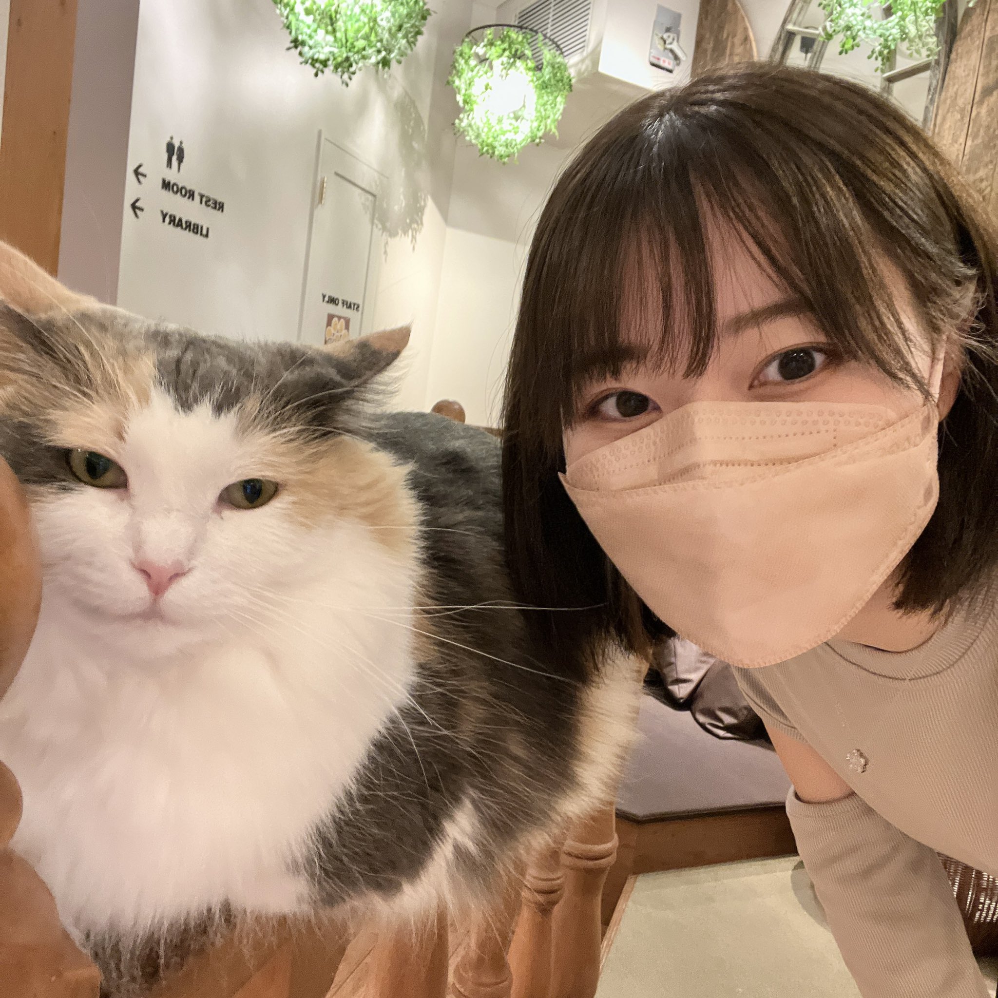 いけちゃん on X: 