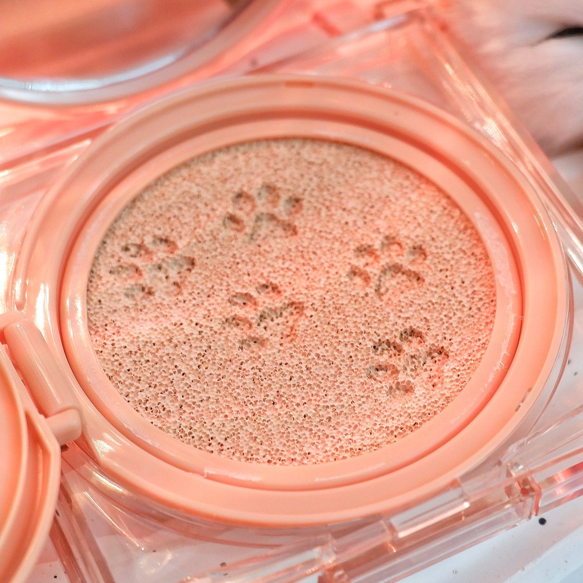 nickichicha's tweet photo. คุชชั่นน้องเหมียว น่ารักเกินต้าน #ไว้รีวิวห้ามขายของโว้ยย #รีวิวของน่ารัก #CLIO #รีวิวบิวตี้ https://t.co/gn8kbD7bM2