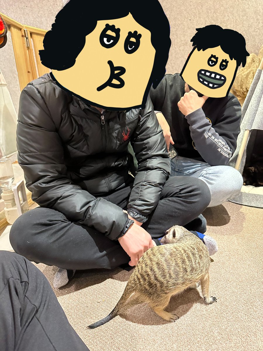 MtAsh13655164's tweet photo. A good day, delicious foods and cute animals.
#TMAs  
#動物園tomint
#TheMafiaAnimals https://t.co/H2nQ3vRBqp