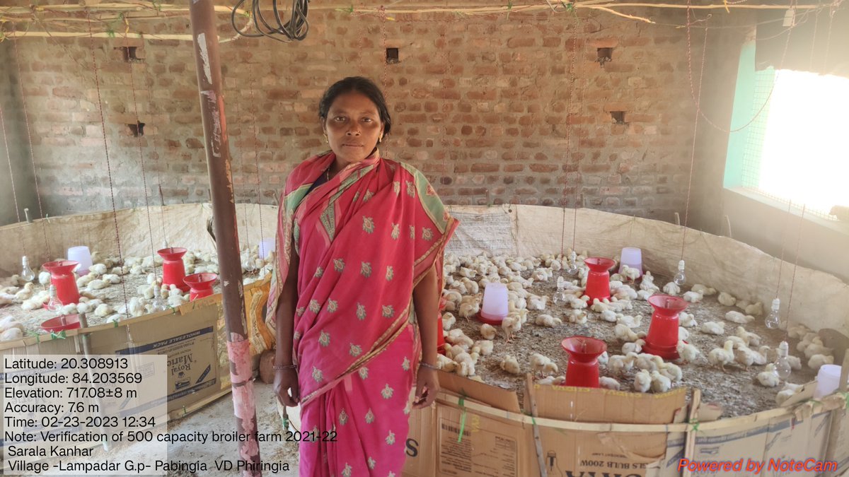 OvsaKandhamal's tweet photo. Grounding of 500broiler chicks in Nedipadar(B) and Lampadar of Phiringia block in the presence of I/c BVO, VAS(MVU) &BPC for verification towards 2nd phase subsidy release.#Stateplan #ARDDept @CMO_Odisha @dahvsodisha @farddept @DMKandhamal @rajaaswain @MoSarkar5T @SecyChief https://t.co/HLtSJqDZe0