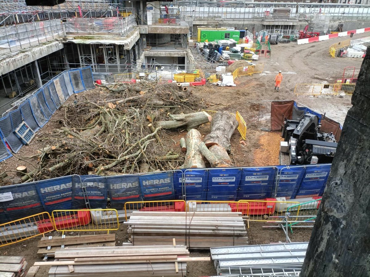 JustPlaneNews's tweet photo. Veteran age trees being massacred by @HS2ltd at Euston Sq Gardens. This monstrous ecocide project is likely to have contributed to ++tree fellings in England for decades. Who's keeping count? @Hs2rTeam @Hs2Our @stophs2 @BBCLondonNews @CatherineWest1 @theresecoffey @guardianeco https://t.co/Jt7FZQpdvl