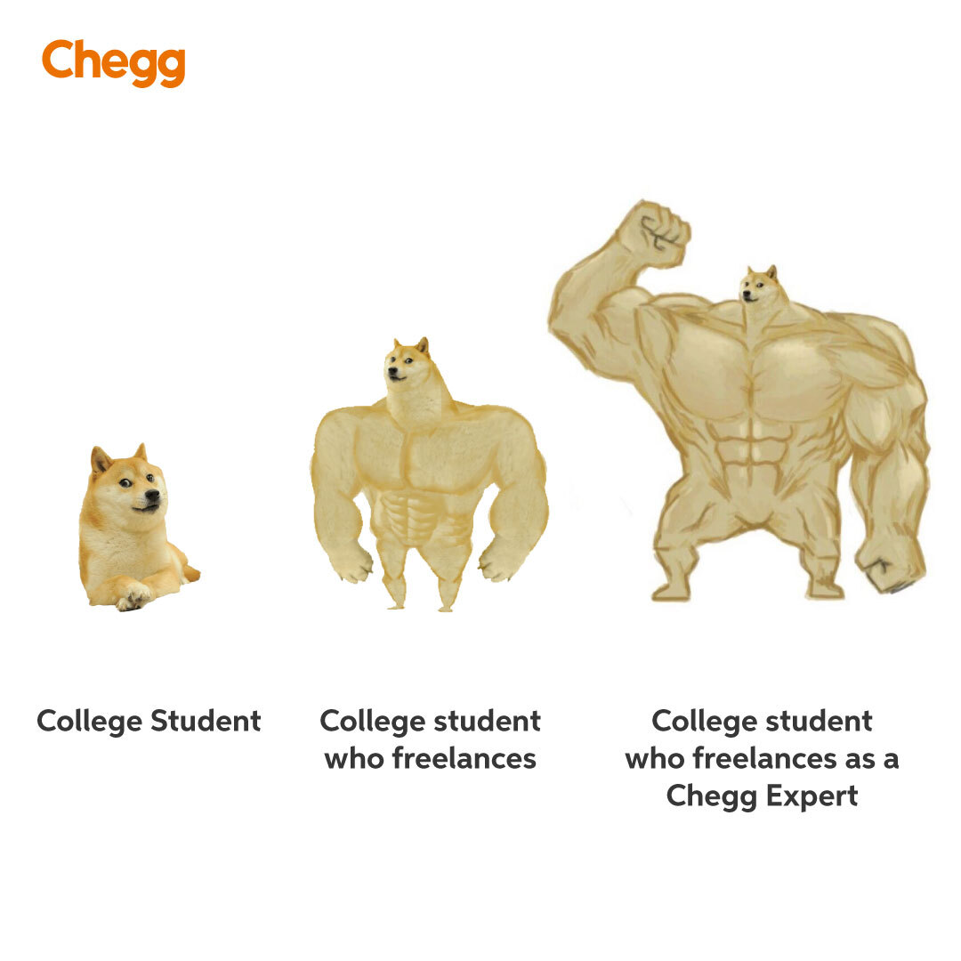 Chegg India tweet media