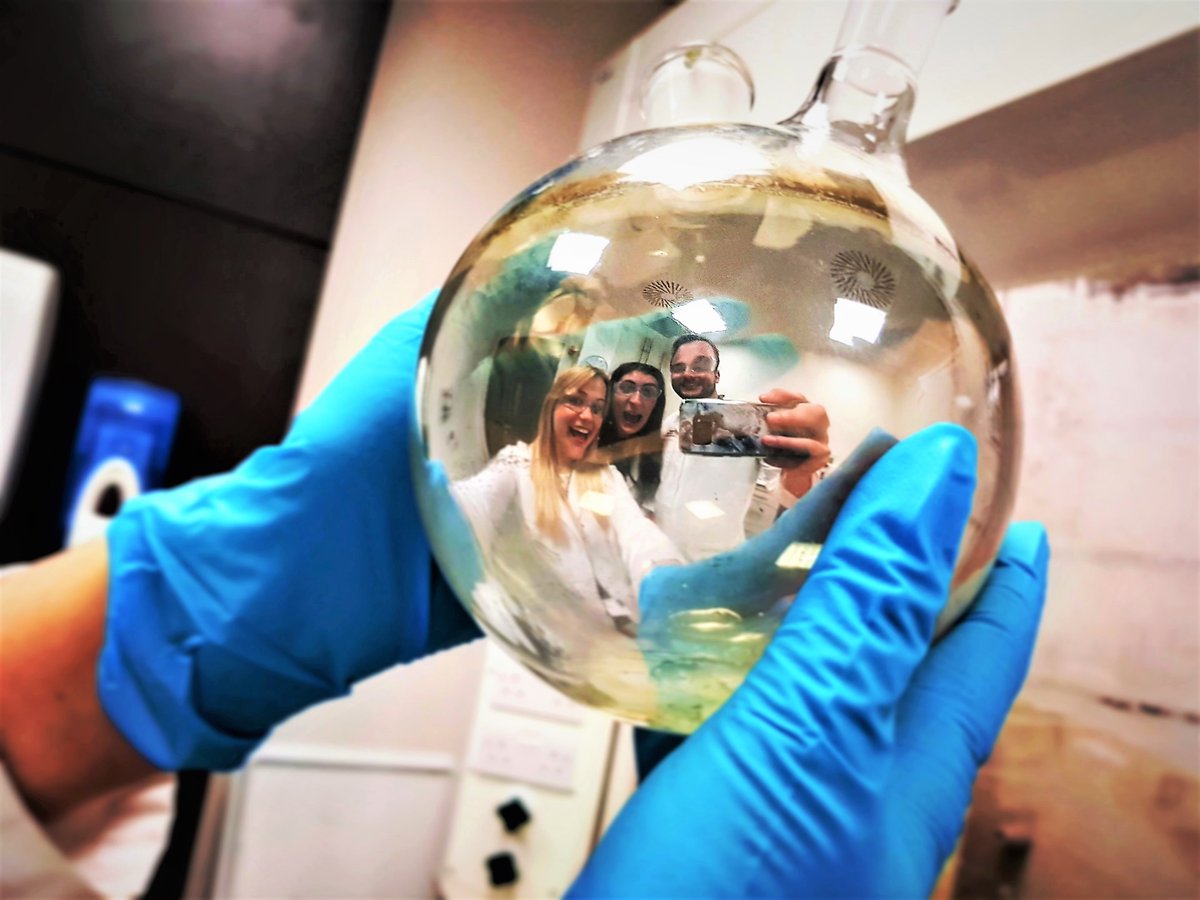 Images of Research tweet media