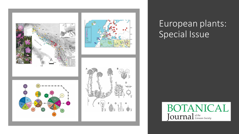 BotJLinnSoc's tweet photo. The March issue @BotJLinnSoc (https://t.co/07Akt3SpPc) is a themed issue on European plants with an editorial by the EIC (https://t.co/7vebMiwZNo) and seven papers (#Euphorbia, #Alyssum, #Viola, #Erica, #Deschampsia, #Chamaerops, #Dianthus). #Hybridization #Biogeography https://t.co/3tNaJLedYp