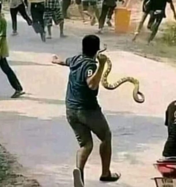 babu! Baizhu leaked gameplay 😱😱😱