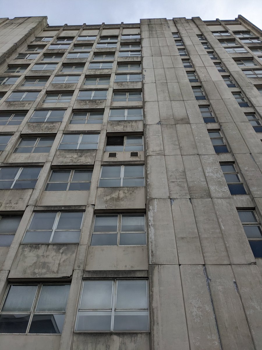 Nick Crisp tweet media