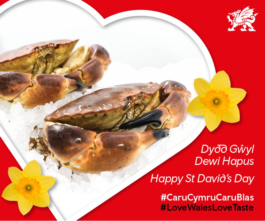 Celtic Coast Fish Co tweet media