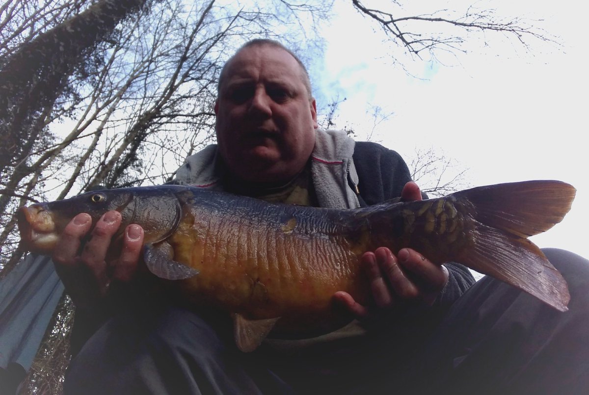DarrenGuru's tweet photo. Nice old Carp 🐟 https://t.co/vczoysziXK