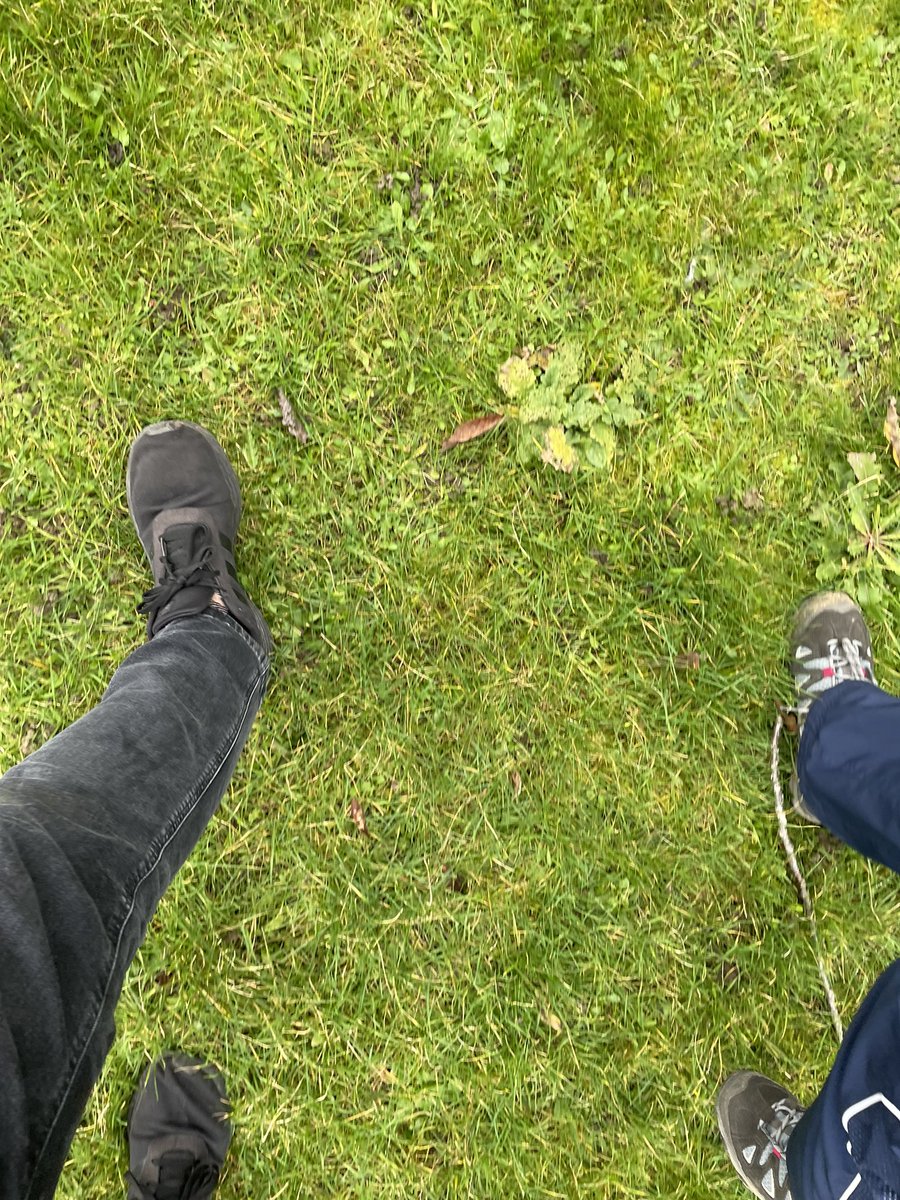 martinwilko1's tweet photo. Today’s #BeWellChallenge personal combo: 1. Keeping a work life balance 2. Connecting with a work colleague who lives near me 3. Doing that catchup through a walking meeting! https://t.co/CZCrQjBkM3