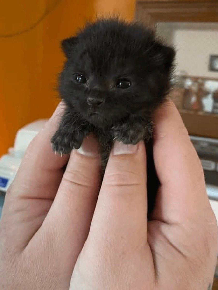 humtinyy's tweet image. oughhh.. holdings me up    be carefee.. pease,,