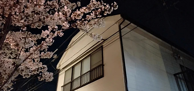 リアルひみセフ 