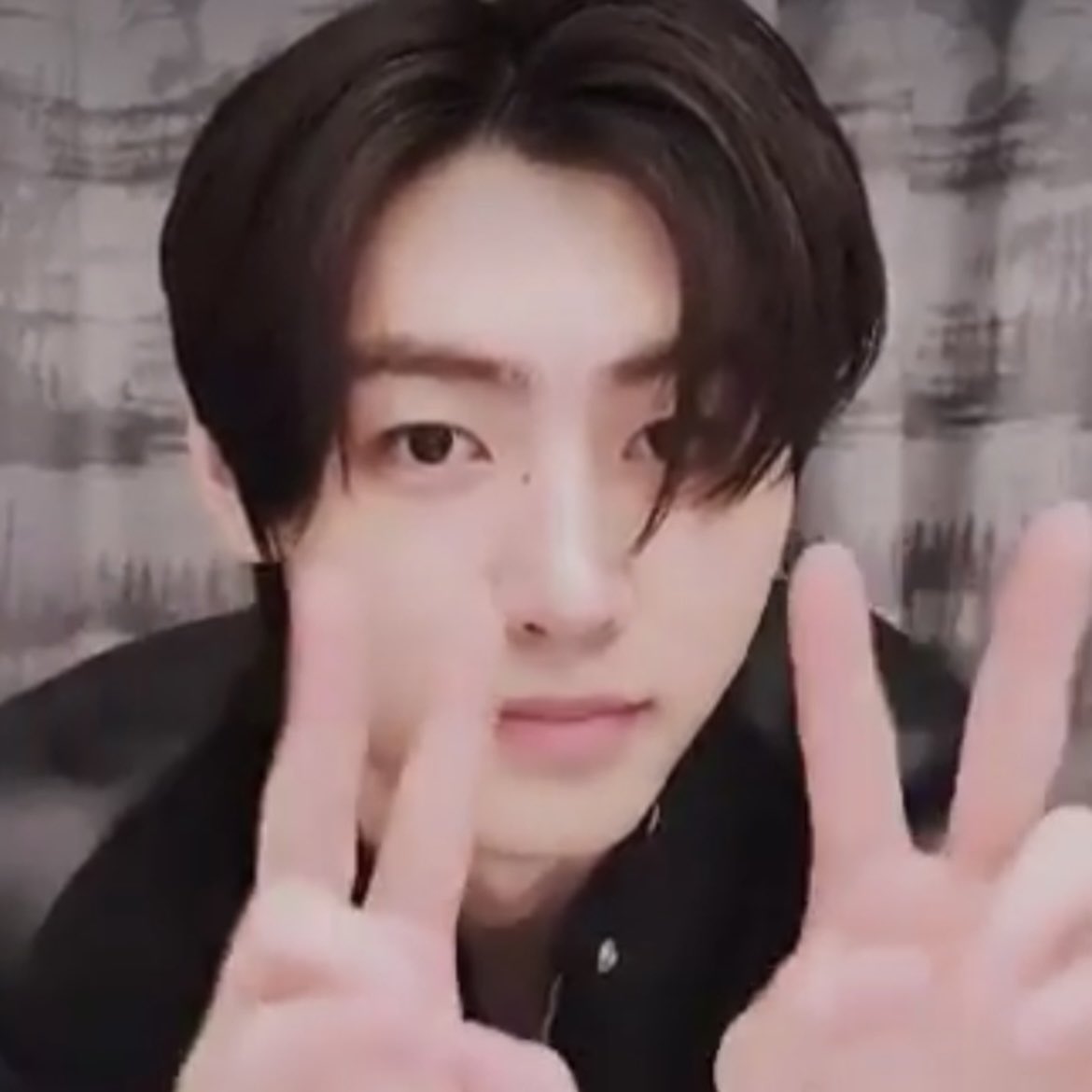 퍼피 tweet media