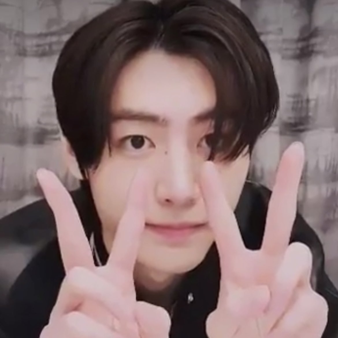 퍼피 tweet media