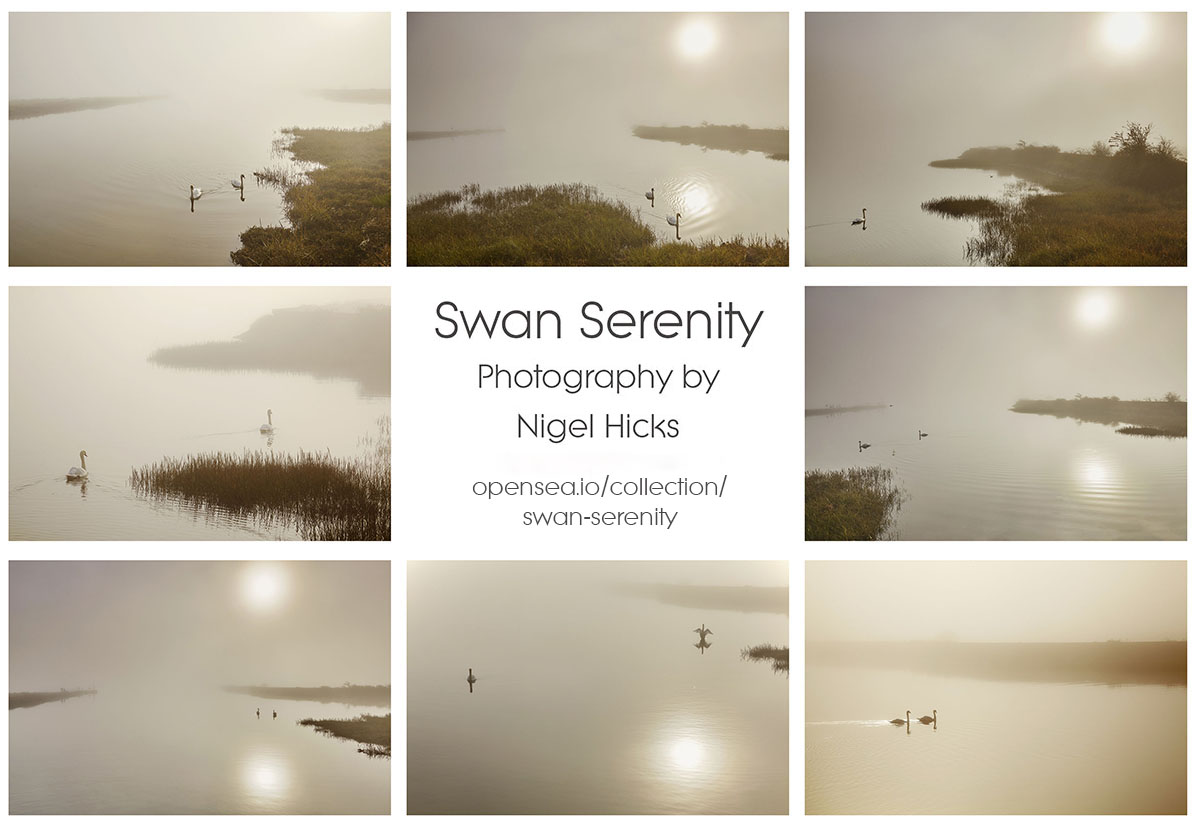 Nigel Hicks photography and writing tweet media