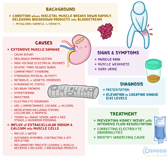 @BrownJHM Rhabmyolysis causing myoglobinuria

Causes:
heat exposure, physical exertion or overuse(in this case) and direct trauma (e.g., crush injury from a fall)
Prolonged immobilisation
Third degree burn

Treatment: Correcting electrolyte abnormality (mainly hyperkalemia)