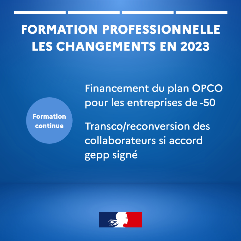 forprocreteil's tweet photo. 2023 sera l'année de la formation professionnelle ! Tenez-vous informés des changements ! 

#contratpro #apprentissage #CFA #formationpro #inclusion #diversité