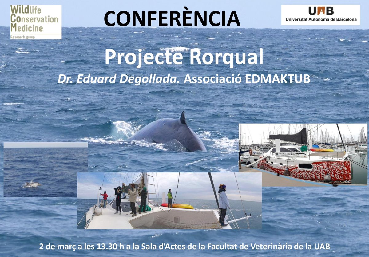 UABveterinaria's tweet photo. 📢 Conferència del grup WildCoM sobre el Projecte Rotqual, liderat pel Dr. Eduard Degollada, va estar professor de la Facultat de Veterinària. 

🗓️ Dijous, 2 de març
⏰ 13:30h
📍Sala d’Actes de la Facultat

#veterinaria #veterinariauab #campusuab #uab #uabbarcelona https://t.co/C6m1MtaFXj