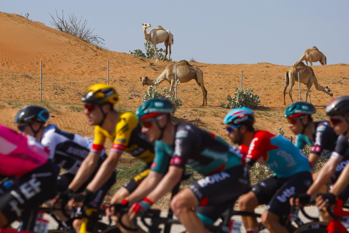 🇦🇪 #UAETour 

Spectators enjoying the race 😜🐪
