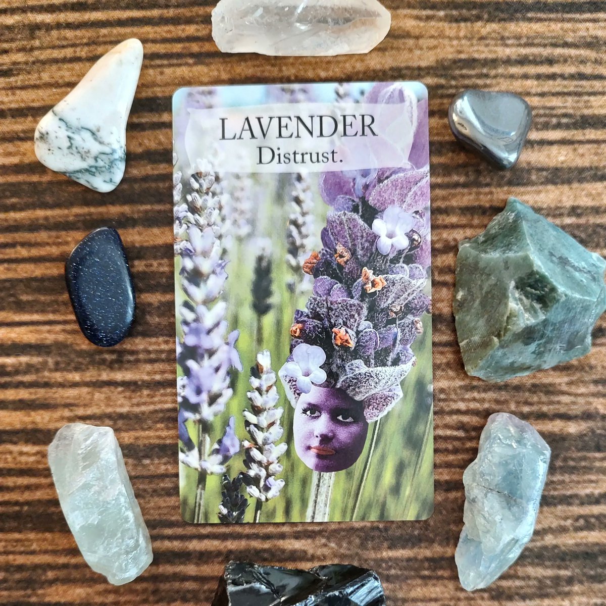 FairySurreal's tweet image. Try to be strategic in your actions. While you cannot do everything at once, you can prioritize #dailyspread #floriography #botanicaloracle #floraloracle #victorianlanguageofflowers #lavender #magick #readingcards #oracle #oraclecards  buff.ly/3WLcDjg