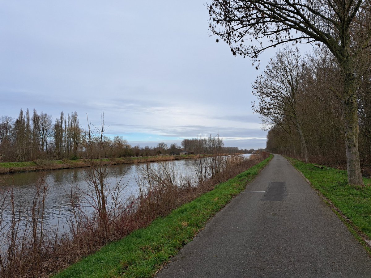 vdb_vicky's tweet photo. Zicht op de schelde in Merelbeke, 10u30, bij 5 graden. #vrtweer https://t.co/BTJFig9Weq