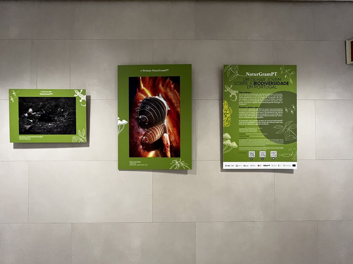 Cristina Luis tweet media