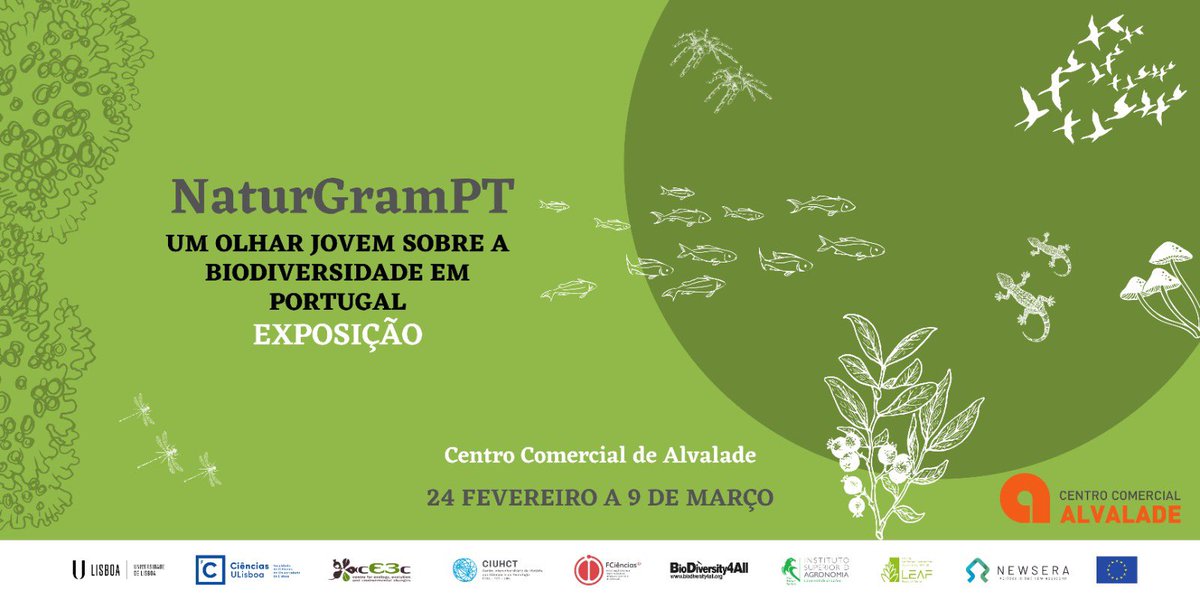 Cristina Luis tweet media