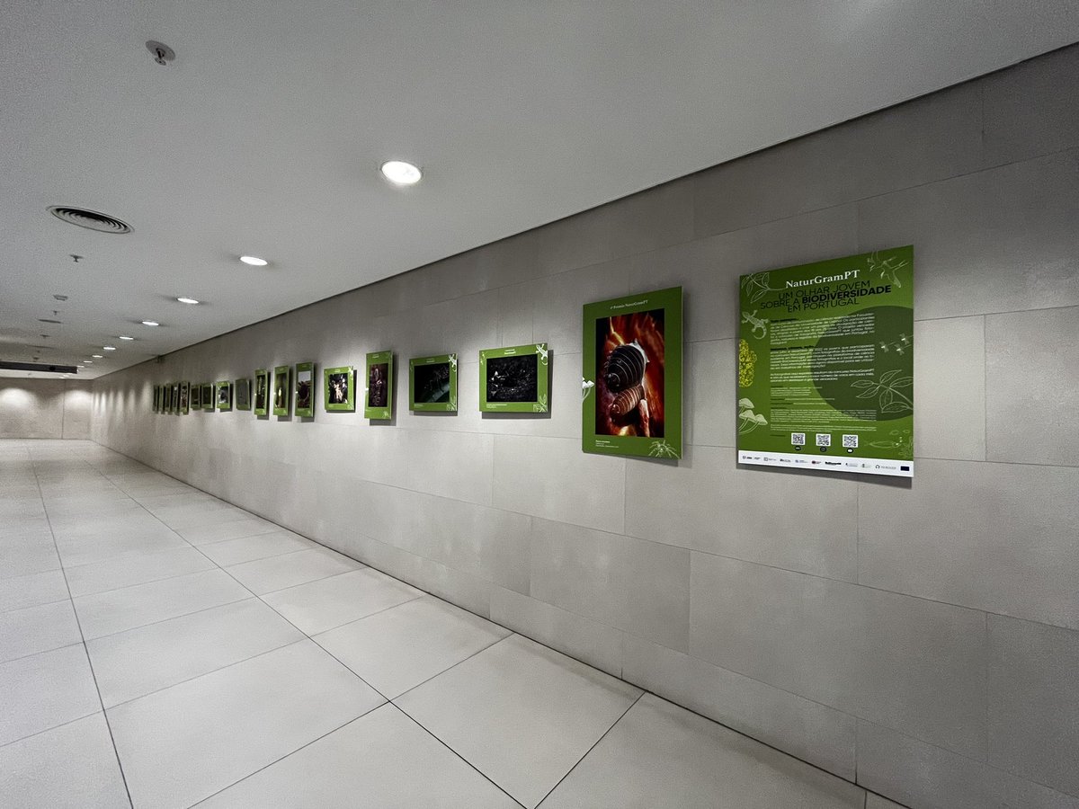 Cristina Luis tweet media