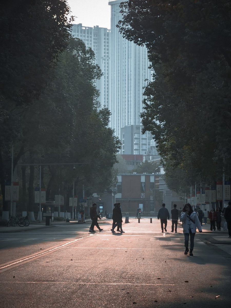 longcheng_zhang's tweet image. ☀️