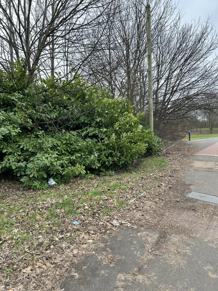 Taking some ‘me time’ to go for a walk in the rain #SelfCare  #TimeToReflect #Wellbeing @adave_NHS @JaneRook1 @NHS_VickySelf @lesleyfaux @LeonEdFitnessXt