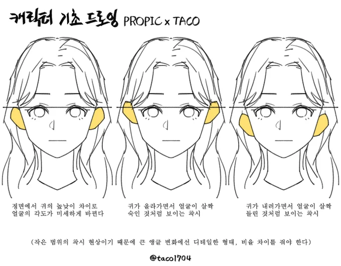 정면에서 귀가 위에 위치하면 살짝 숙인 것처럼 보이고, 귀가 밑에 위치하면 살짝 들린 느낌으로 보이는 착시가 생긴다 