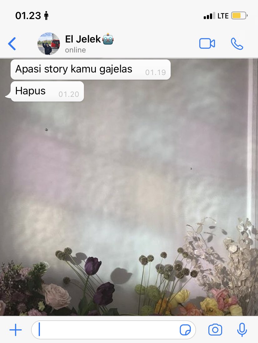 Ariel On Twitter 07 Https T Co Qxkg7zxu3k Twitter