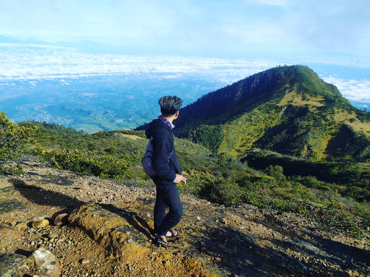 Pradyatama01's tweet photo. Akan kusemai jutaan rumput hijau untuk meneduhkan jiwamu yg mungkin gersang. https://t.co/KCJtGjooPs