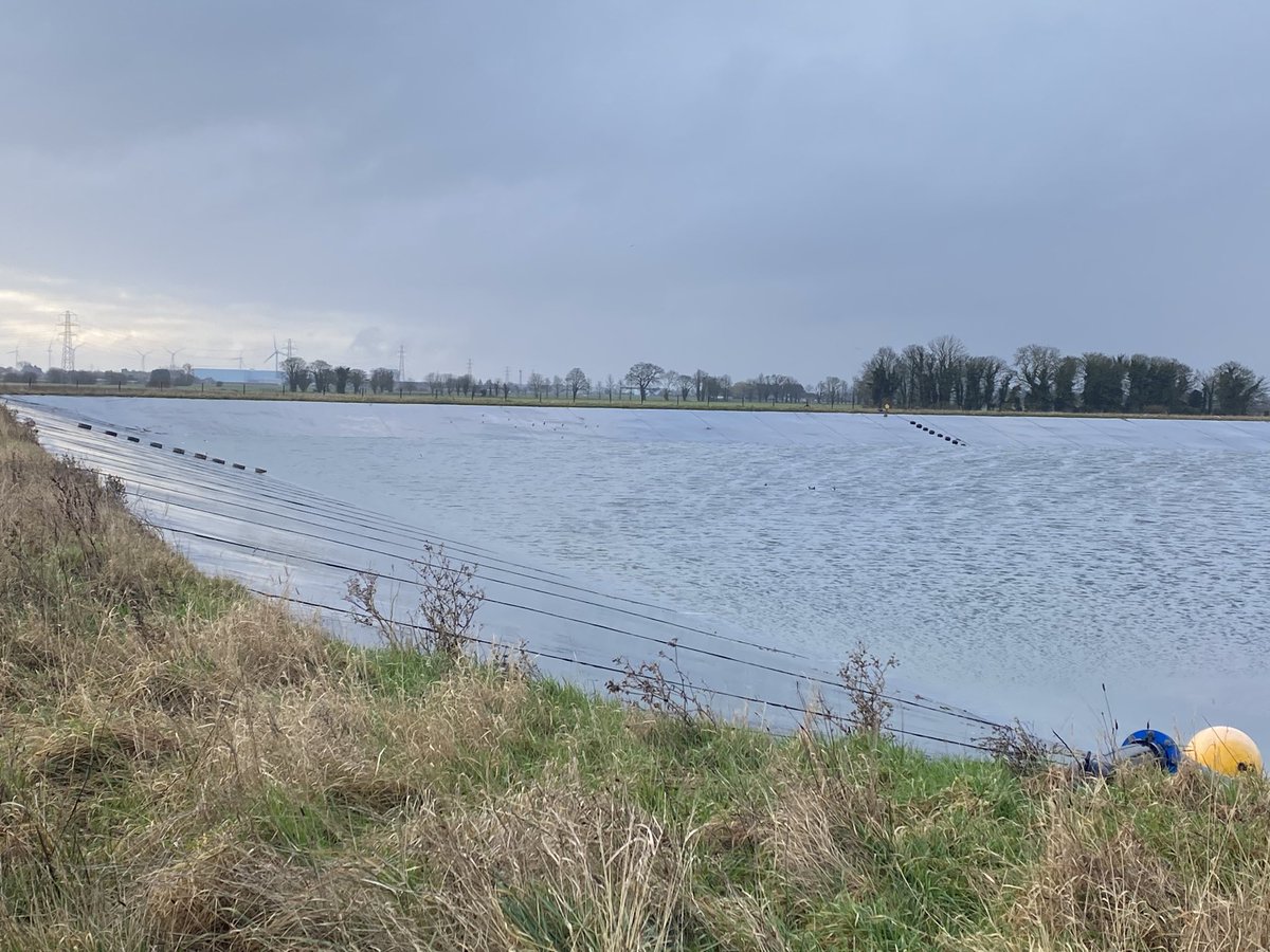 David Hoyles tweet media